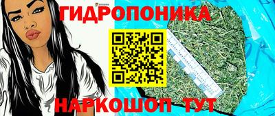стафф Кинель