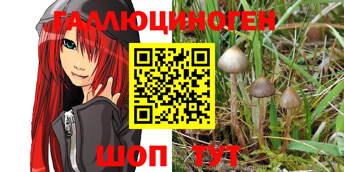 Галлюциногенные грибы MAGIC MUSHROOMS Кропоткин